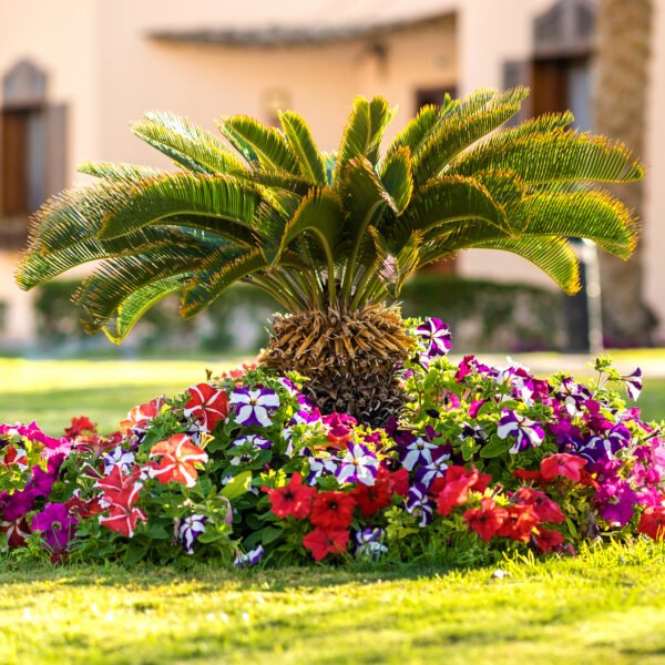 Outstanding Outcome Gardening Services Algarve